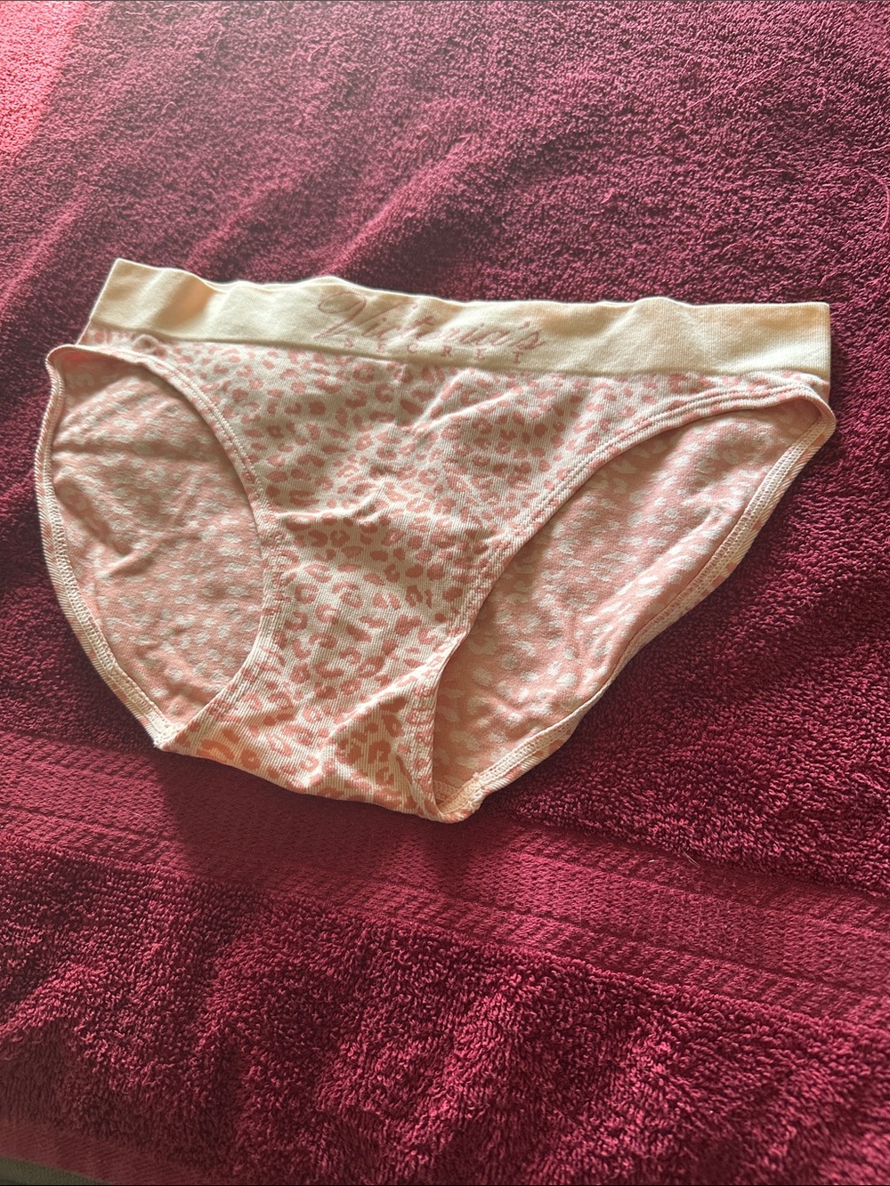 NWOT Victoria's Secret Pink Leopard Print Cotton Bikini Panty